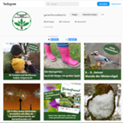Seit Jahresbeginn ist der Landesverband nun auch auf Facebook und Instagram aktiv