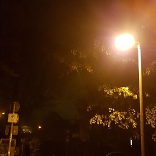 Lichtverschmutzung im Garten – Auswirkungen auf die Umwelt