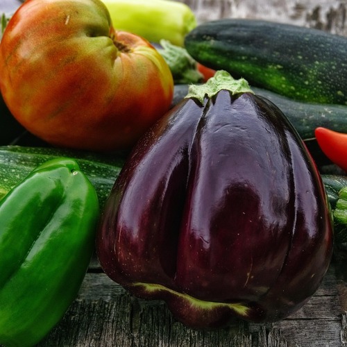 Gem&uuml;seanbau im Kleingarten &ndash; Erfolg mit Fruchtfolge und Mischkultur