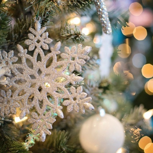 Vereinsvorstand: Weihnachtsfeier und Jahresabschluss