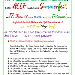 Sommerfest und Biene-Maja-Lauf
