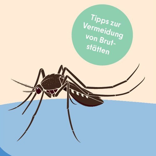 Lass Dich nicht stechen!